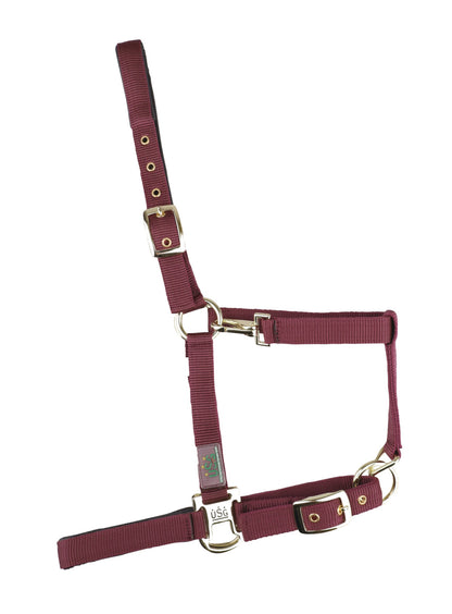 Padded Headcollar
