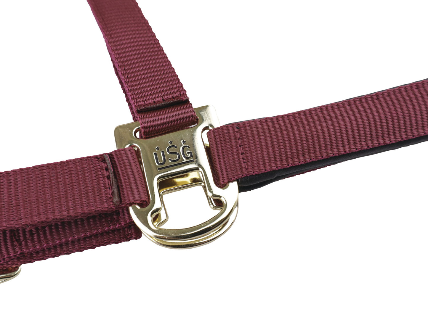 Padded Headcollar