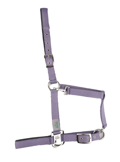 Padded Headcollar