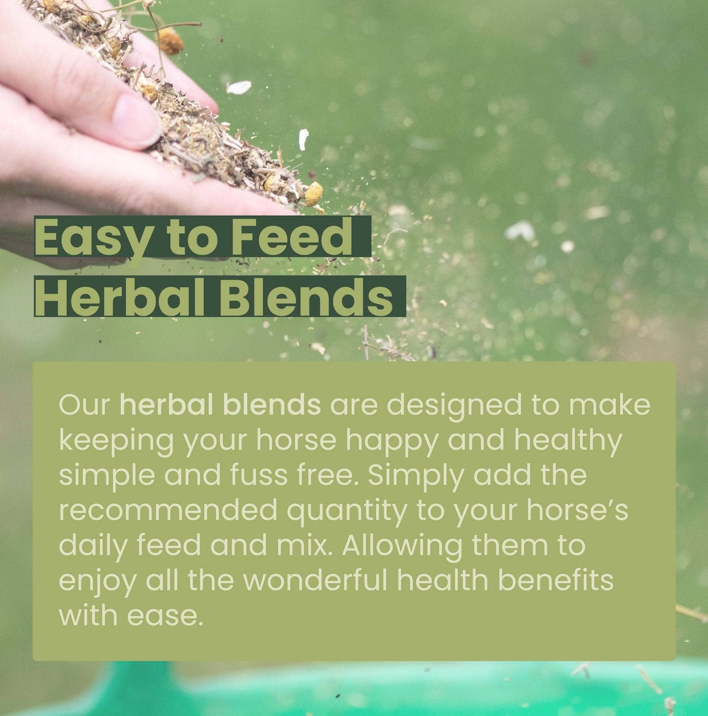 Healthy Daily Boost