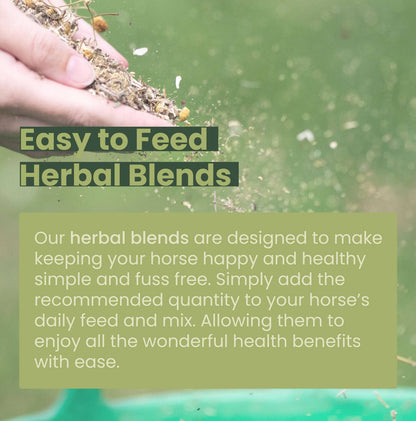 Healthy Daily Boost