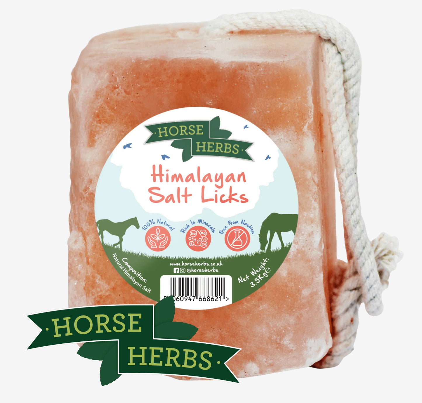 Salt Lick