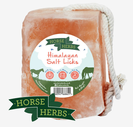 Salt Lick
