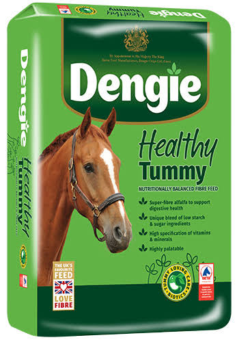 Dengi Healthy Tummy